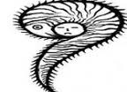 http://2.bp.blogspot.com/-xo2w7eRoc-I/TjzjNPq_J0I/AAAAAAAAAbo/1H2aDpLpPAQ/s320/dalit%2Bq.%2Bmark.jpg